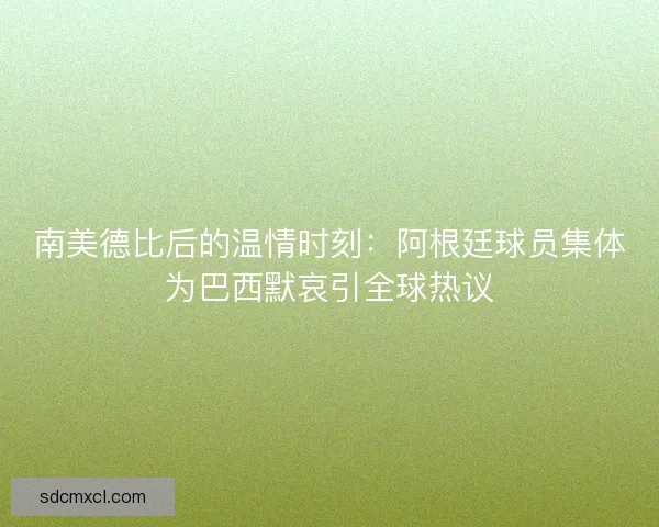 南美德比后的温情时刻：阿根廷球员集体为巴西默哀引全球热议