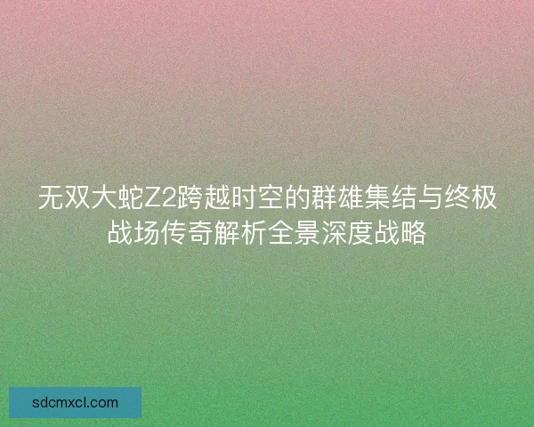 无双大蛇Z2跨越时空的群雄集结与终极战场传奇解析全景深度战略