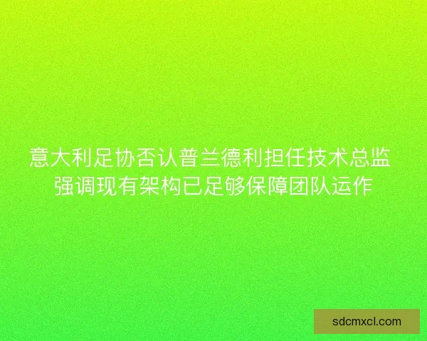 意大利足协否认普兰德利担任技术总监 强调现有架构已足够保障团队运作