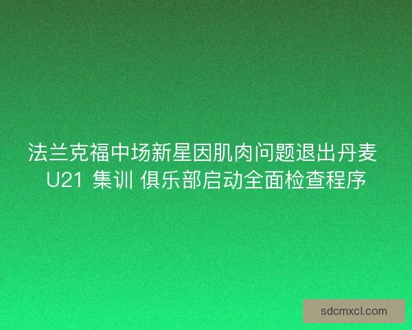 法兰克福中场新星因肌肉问题退出丹麦 U21 集训 俱乐部启动全面检查程序