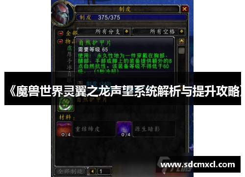 《魔兽世界灵翼之龙声望系统解析与提升攻略》